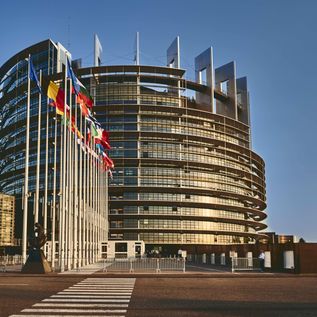 Europaparlamentet röstar igenom förbud mot grönmålning
